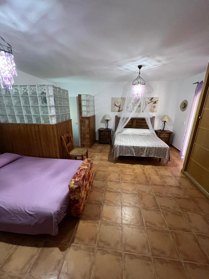 Suite Alhucema 치클라나 데 라 프론테라 외부 사진